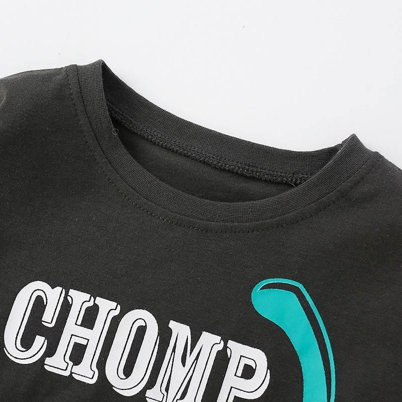 Baby Dinosaur Graphic Long Sleeve Shirt - Gray - Giggles and Grace