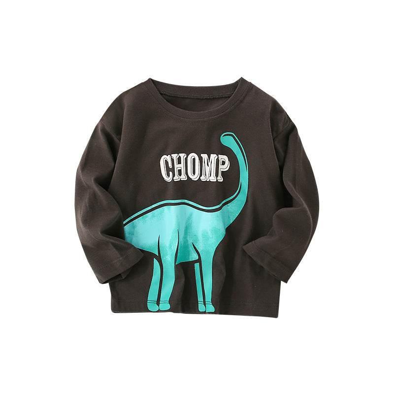 Baby Dinosaur Graphic Long Sleeve Shirt - Gray - Giggles and Grace